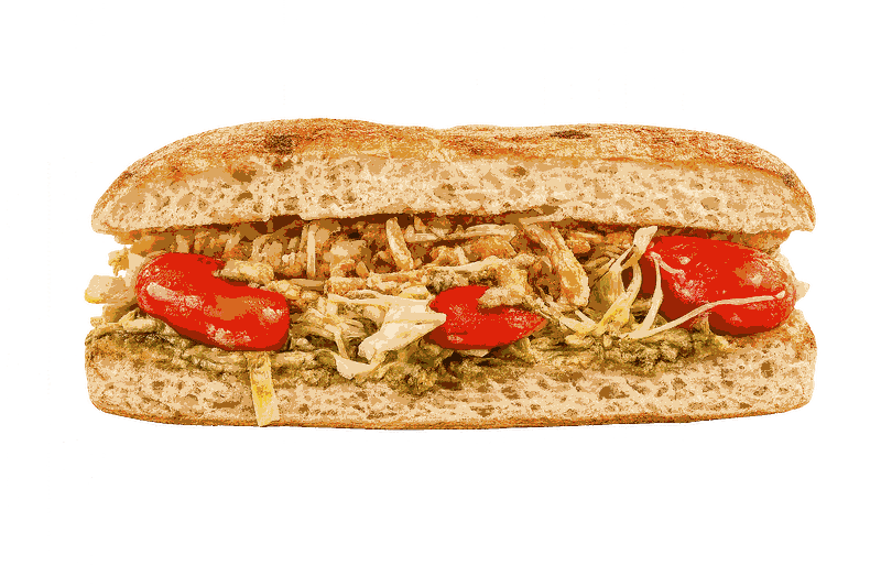 Focaccia Chicken